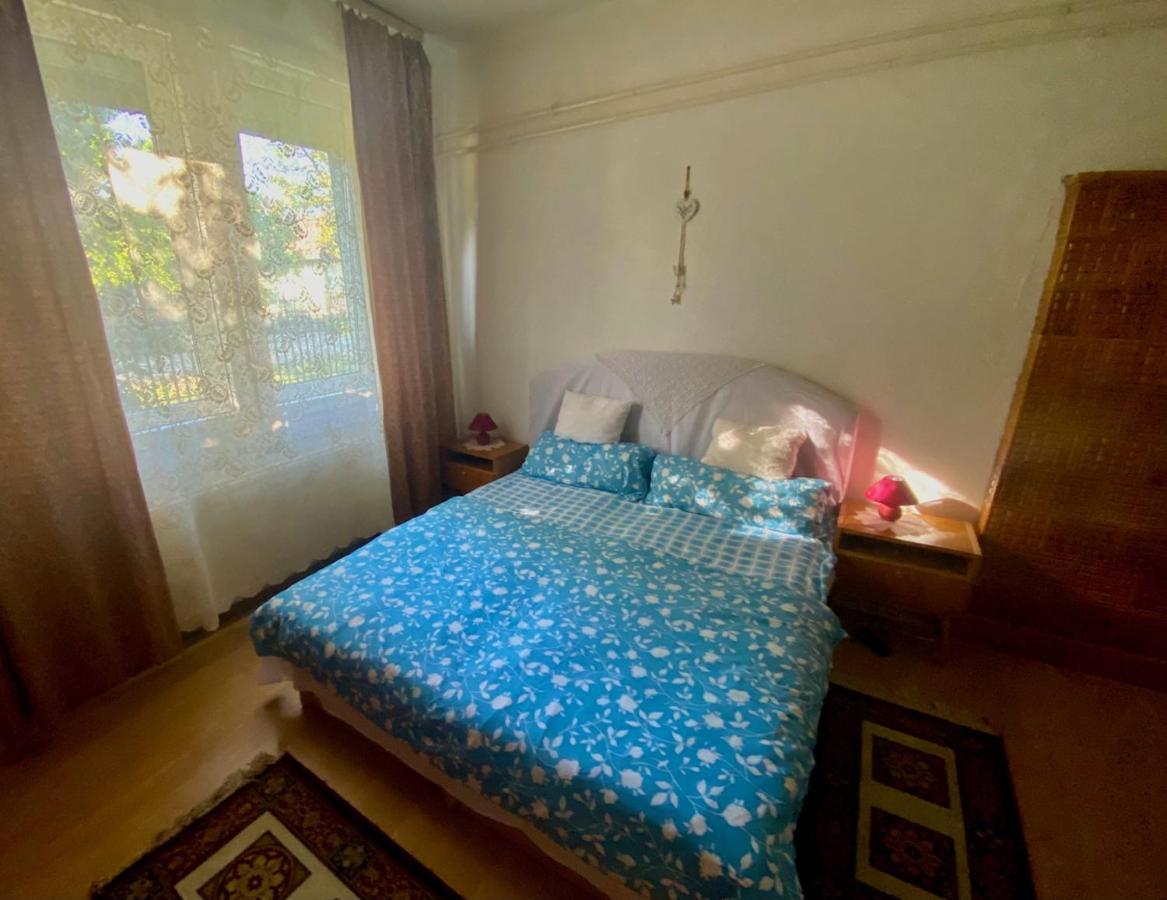 Grany'S Retro Guesthouse Near Budapest Airport ベセス エクステリア 写真