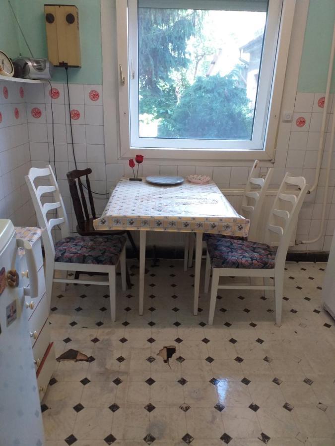 Grany'S Retro Guesthouse Near Budapest Airport ベセス エクステリア 写真