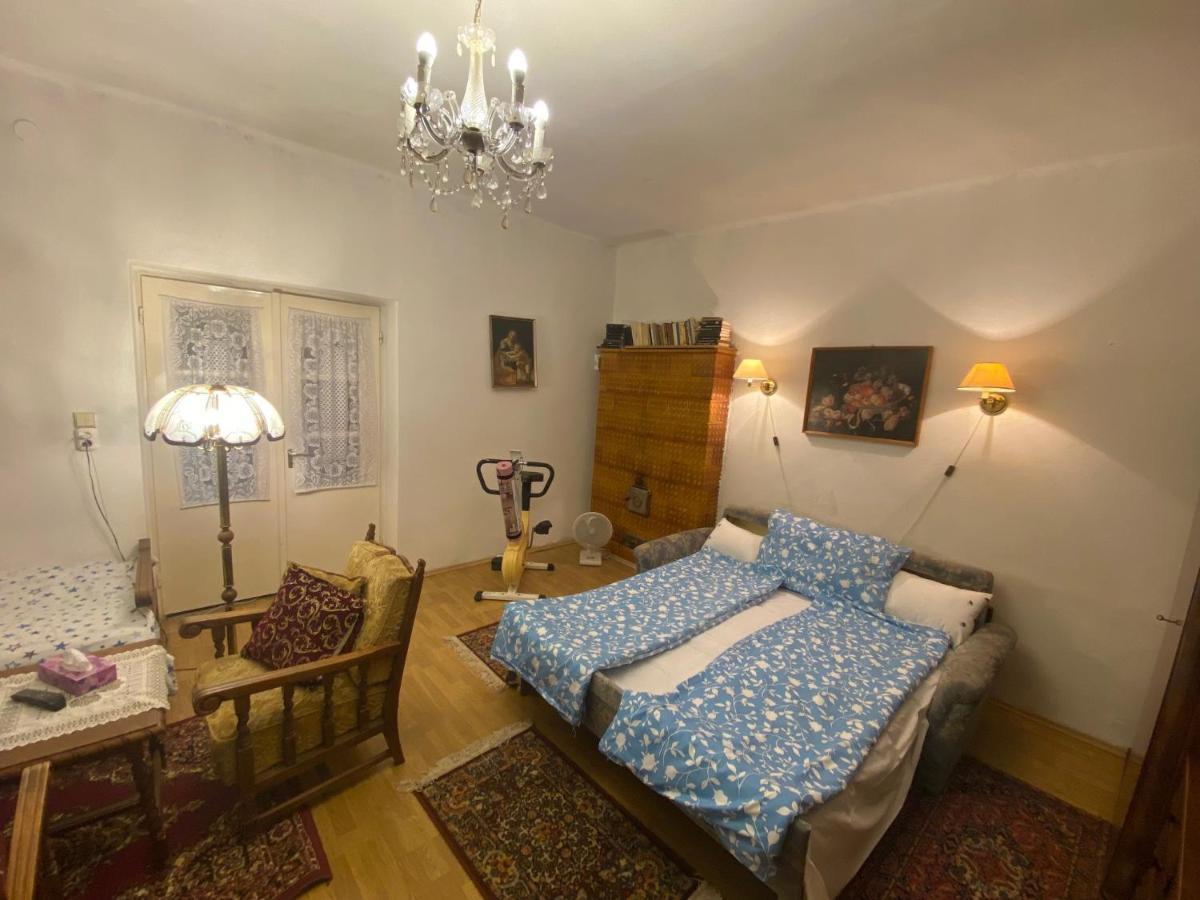 Grany'S Retro Guesthouse Near Budapest Airport ベセス エクステリア 写真
